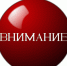 Конкурсный отбор субъектов малого и среднего предпринимательства, включенных в реестр социальных предпринимателей, или субъектов малого и среднего предпринимательства, созданных физическими лицами в возрасте до 25 лет - Пителинский район